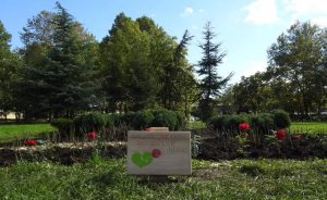 Розова градина в памет на донорите беше открита днес в центъра на столицата